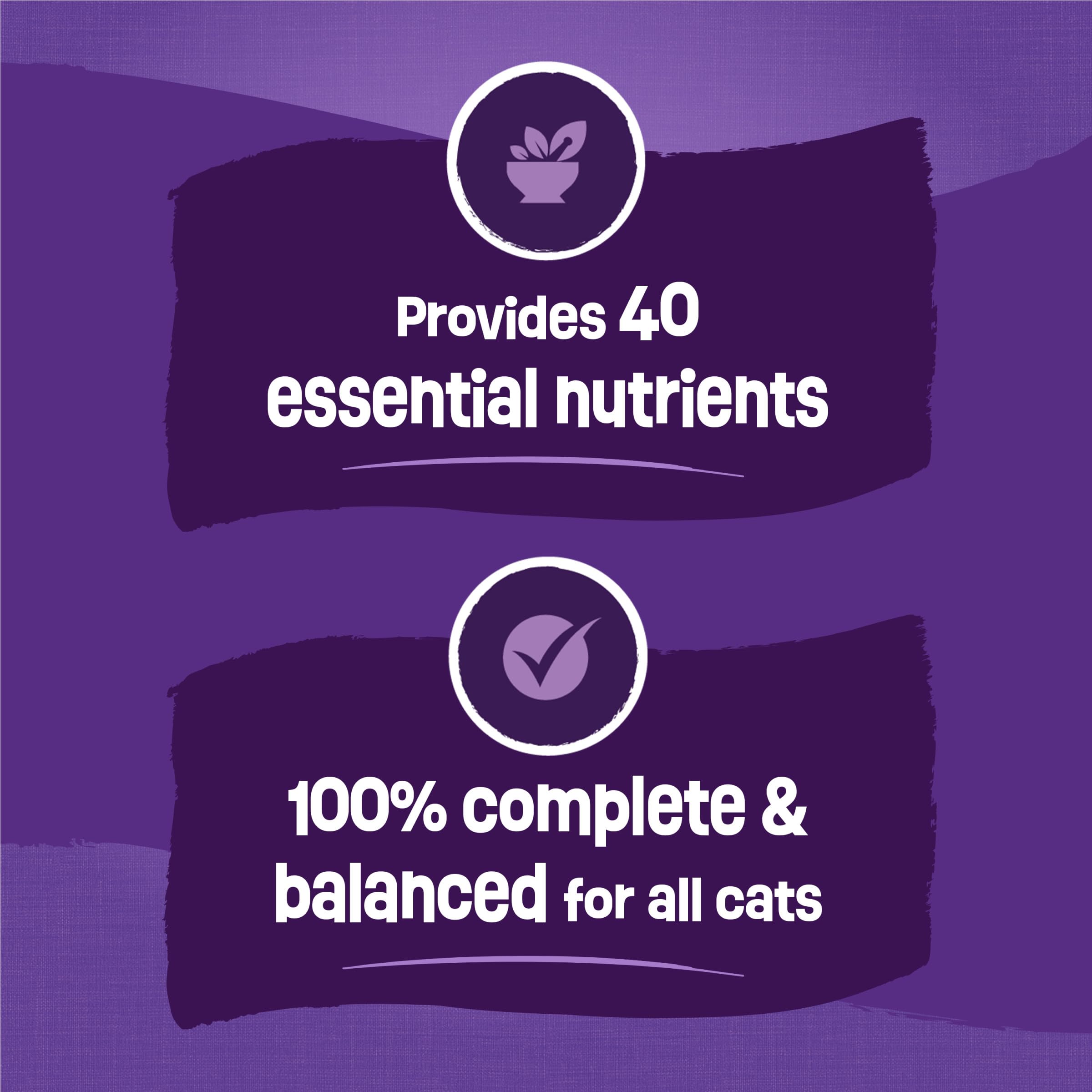 Purina Friskies Cat Food Surfin and Turfin Favorites Flavors of Chicken, Whitefish, Salmon and Filet Mignon - 22 lb. Bag - Image 5