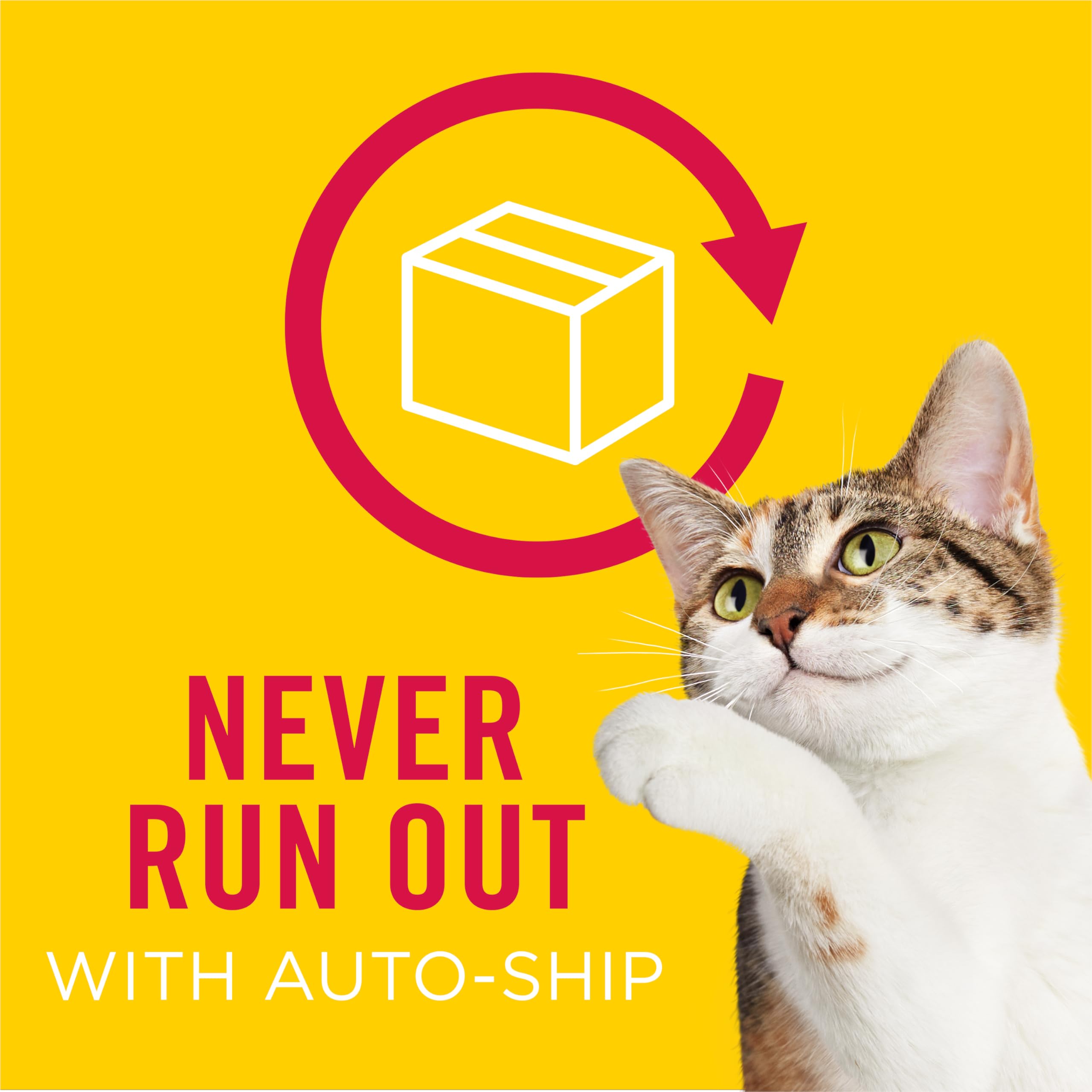 Purina Friskies Extra Gravy Wet Cat Food Chunky Chicken in Savory Gravy - (Pack of 24) 5.5 oz. Cans - Image 11