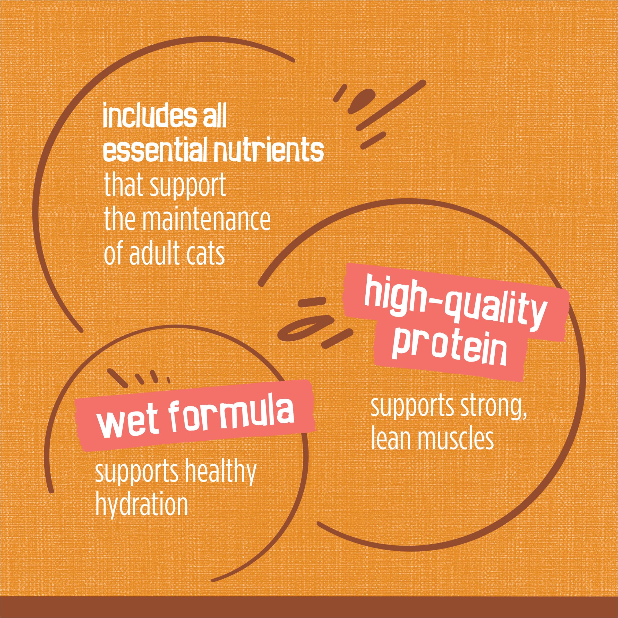 Purina Friskies Extra Gravy Wet Cat Food Chunky Chicken in Savory Gravy - (Pack of 24) 5.5 oz. Cans - Image 8