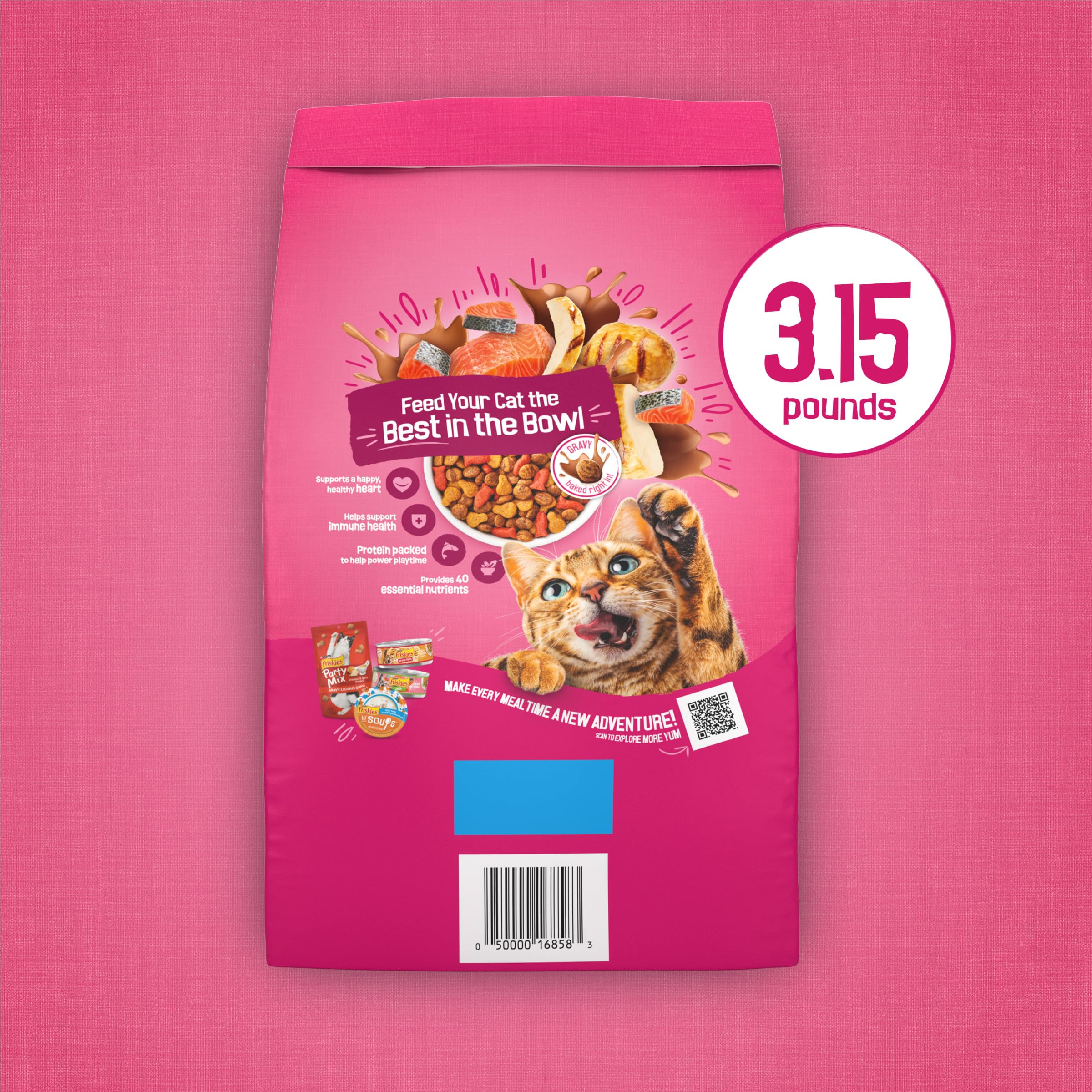 Purina Friskies Gravy Swirlers With Flavors of Chicken, Salmon and Gravy Dry Cat Food - 3.15 lb. Bag - Image 11