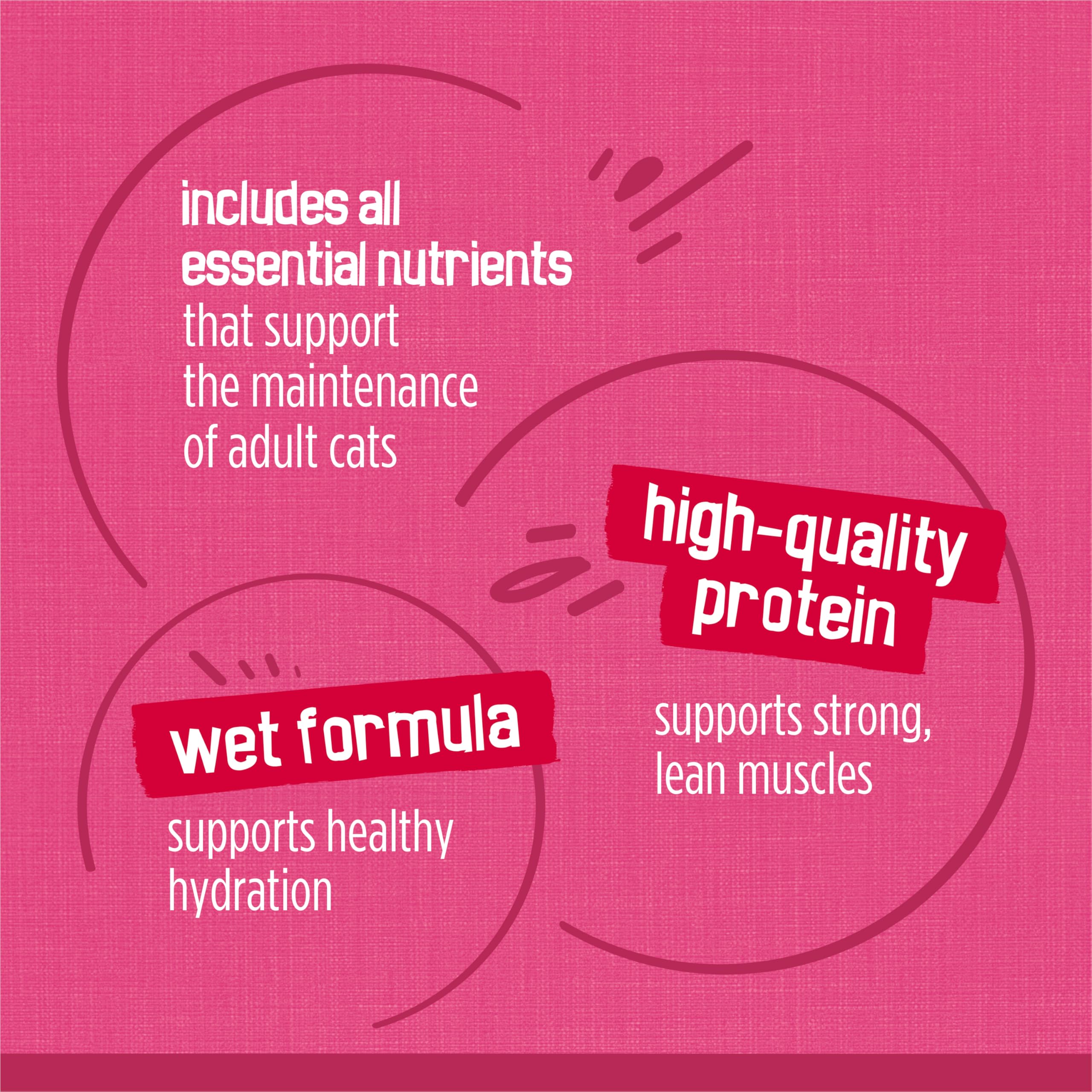 Purina Friskies Gravy Wet Cat Food Variety Pack, Surfin’ and Turfin’ Prime Filets Favorites - (Pack of 40) 5.5 oz. Cans - Image 8