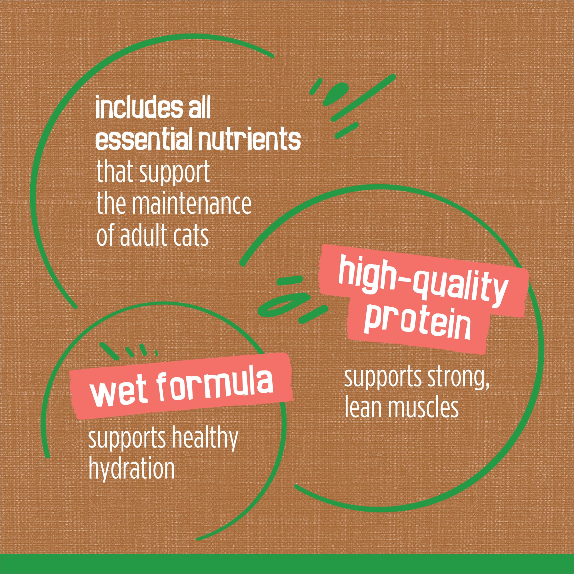 Purina Friskies Indoor Cat Food Chunky Chicken and Turkey Casserole With Garden Greens in Gravy 24/5.5 Oz - (Pack of 24) 5.5 Oz. Cans - Image 8