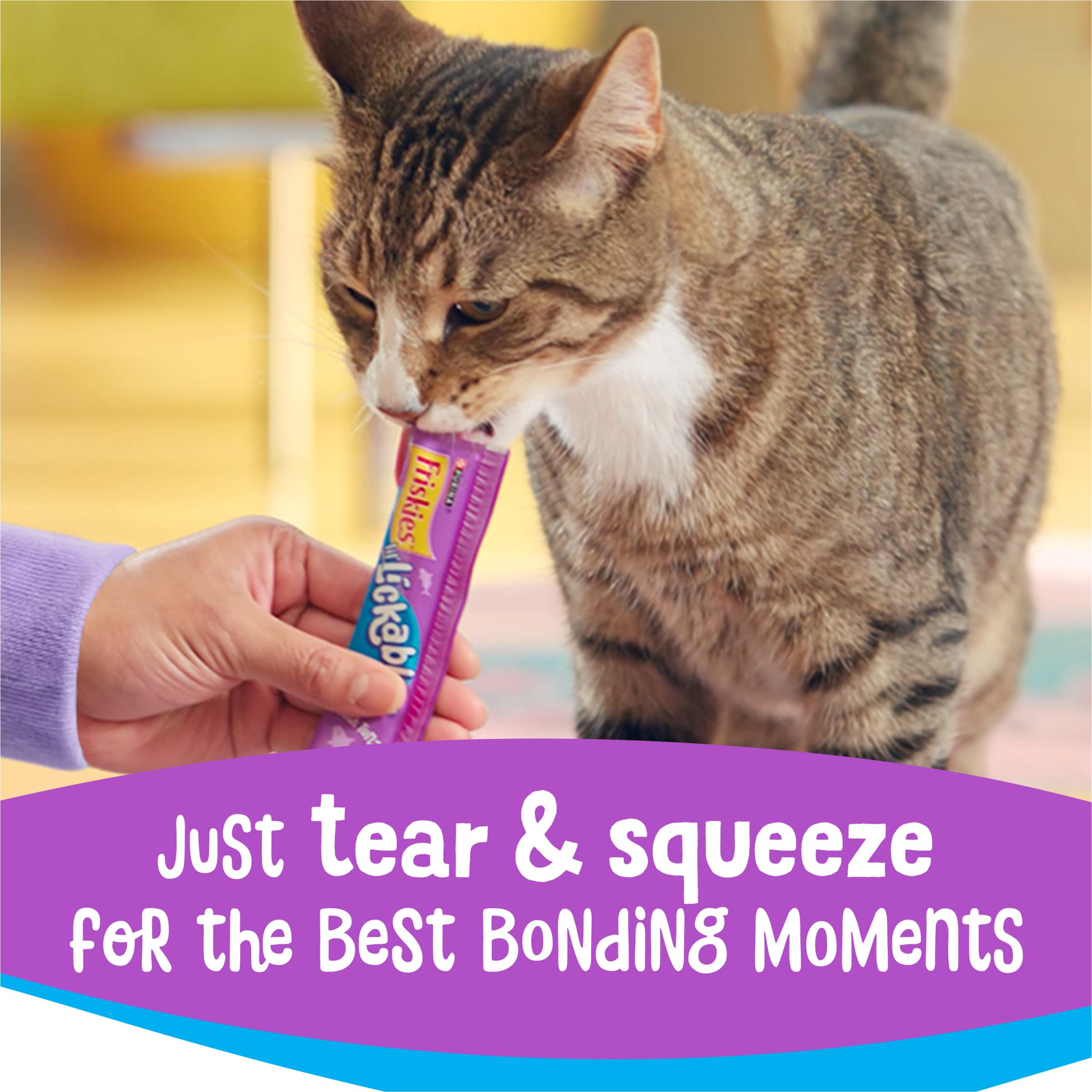 Purina Friskies Lil’ Lickables with Chicken Lickable Cat Treats - 16 oz (Pack of 32) - Image 4