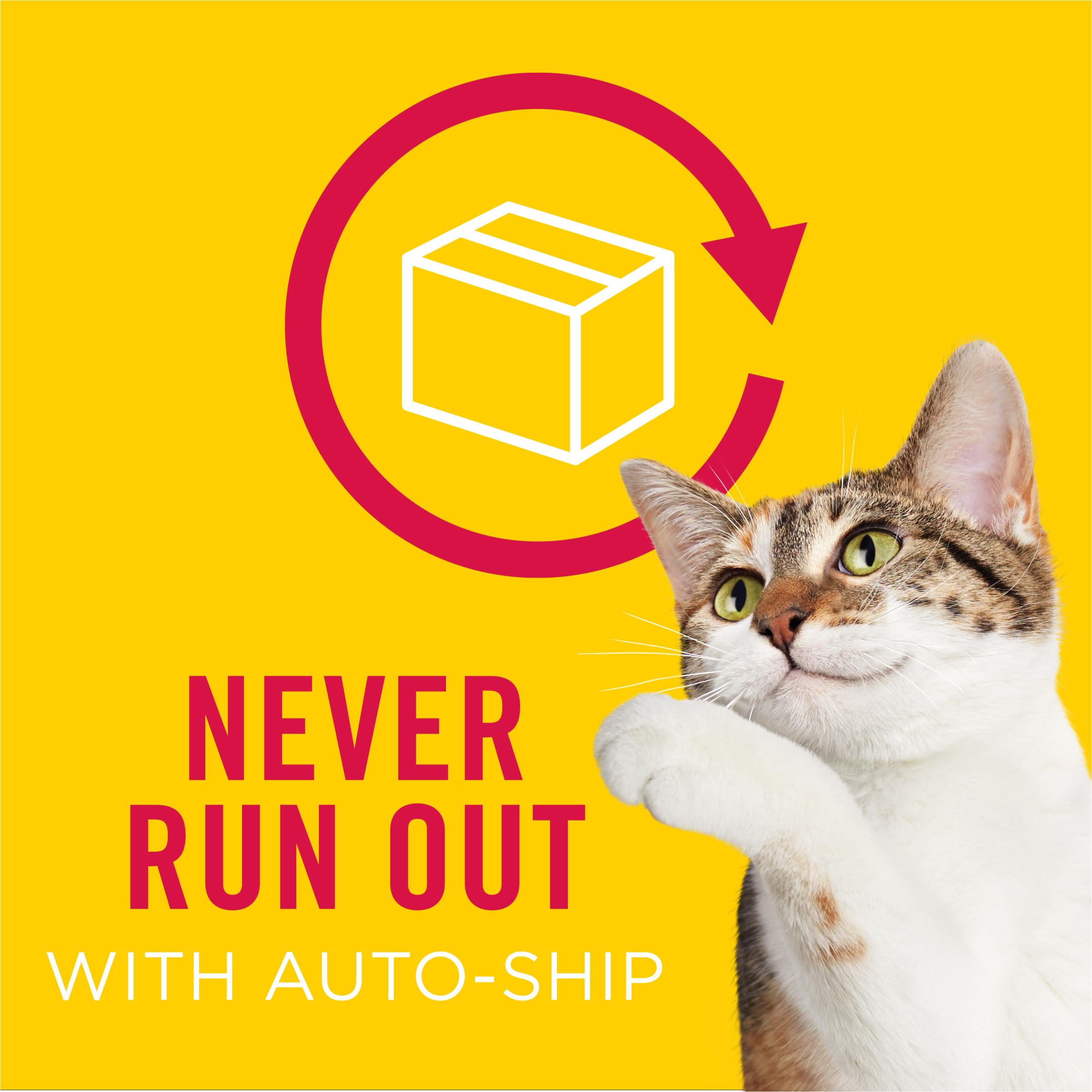 Purina Friskies Tender and Crunchy Combo with Flavors of Chicken, Beef, Carrots and Green Beans Dry and Tender Cat Food - 16 Lb. Bag (Packaging may vary) - Image 12