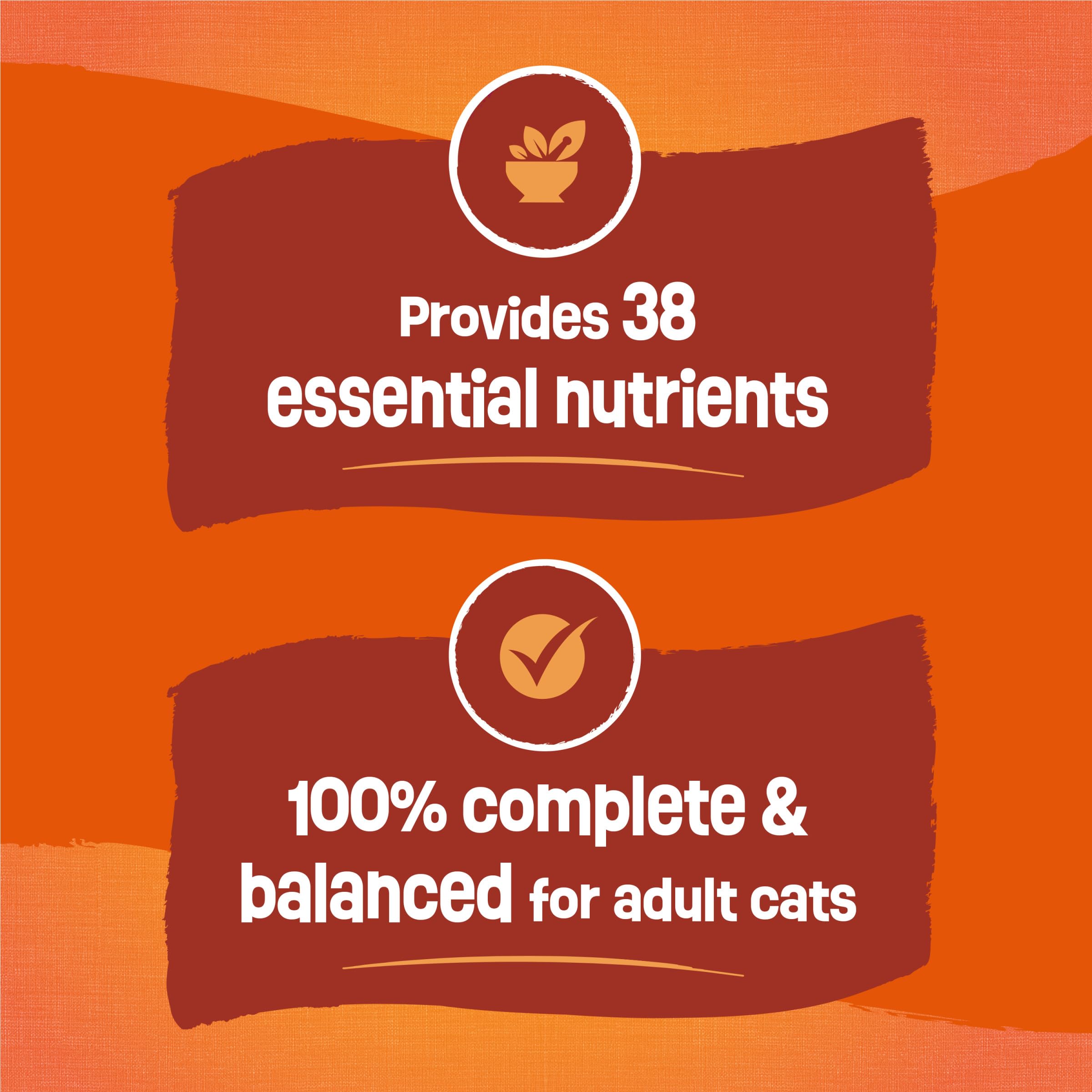 Purina Friskies Tender and Crunchy Combo with Flavors of Chicken, Beef, Carrots and Green Beans Dry and Tender Cat Food - 16 Lb. Bag (Packaging may vary) - Image 8