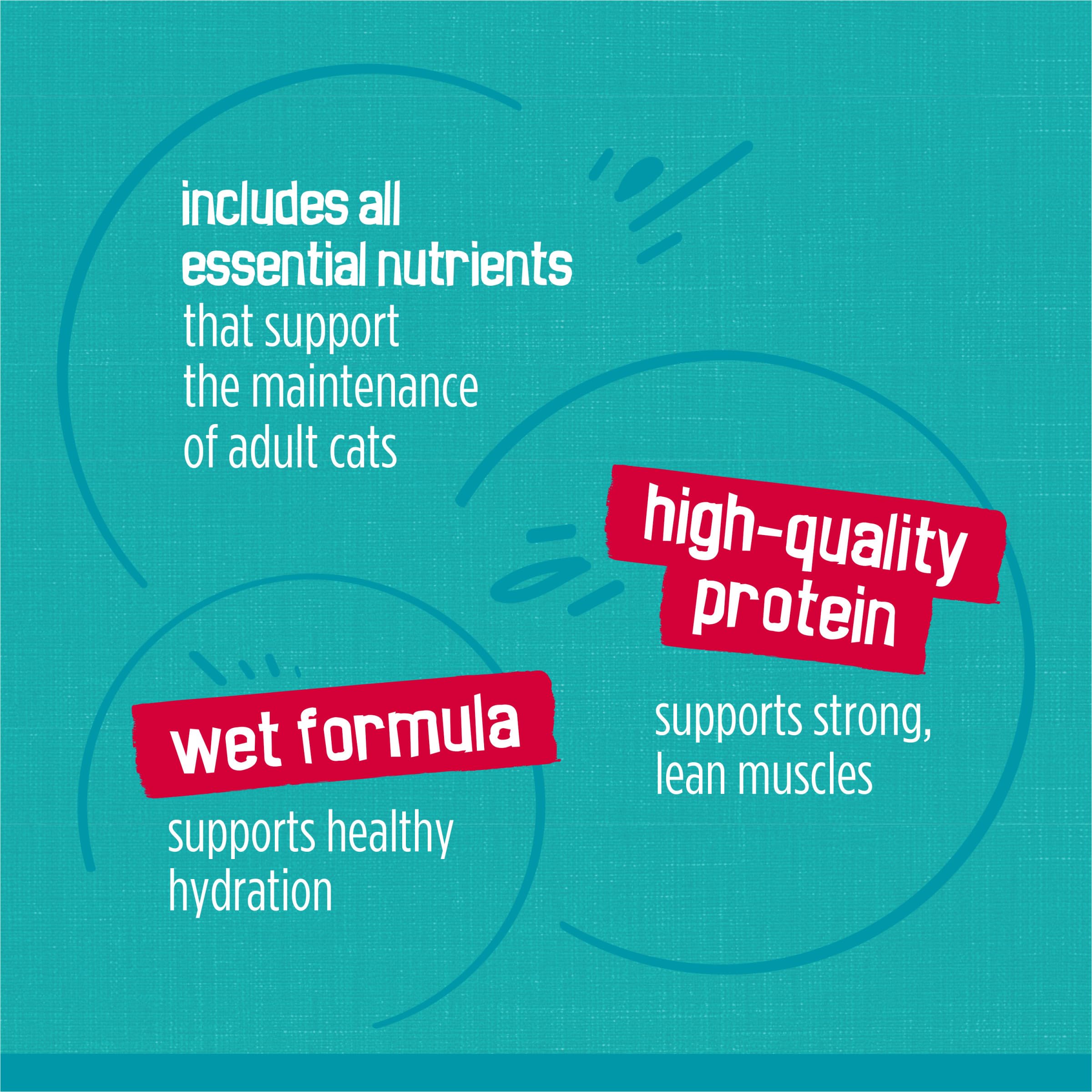 Purina Friskies Wet Cat Food Variety Pack, Tasty Treasures Prime Filets (With Chicken and Tuna, With Chicken, and With Ocean Fish and Tuna, and With Turkey) - (Pack of 24) 5.5 oz. Cans - Image 8