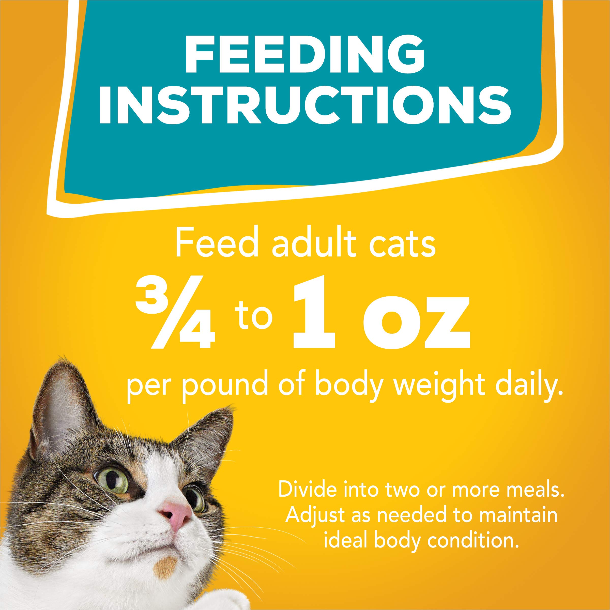 Purina Friskies Wet Cat Food Variety Pack, Tasty Treasures Prime Filets (With Chicken and Tuna, With Chicken, and With Ocean Fish and Tuna, and With Turkey) - (Pack of 24) 5.5 oz. Cans - Image 11